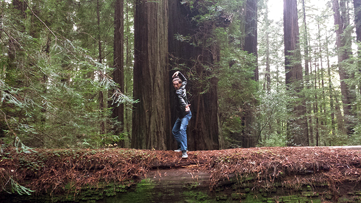 Redwood Forest | DeeZee - Daniel Hartmann Dance | Follow Your Dreams Tour | Joseph James