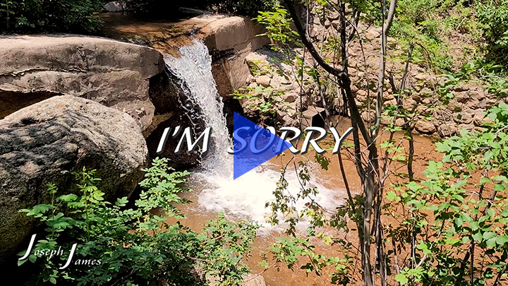 I'M SORRY | JOSEPH JAMES